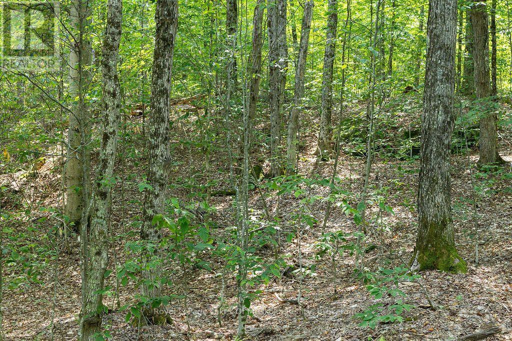 












LOT #15 - 101 GRYFFIN BLUFFS LANE

,
Huntsville (Brunel),







Ontario
P0B1M0

