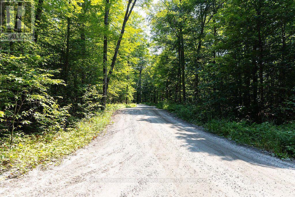 












LOT #15 - 101 GRYFFIN BLUFFS LANE

,
Huntsville (Brunel),







Ontario
P0B1M0

