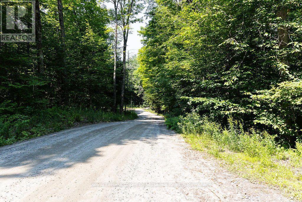 












LOT #15 - 101 GRYFFIN BLUFFS LANE

,
Huntsville (Brunel),







Ontario
P0B1M0

