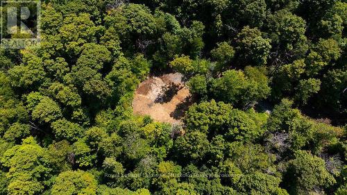 Partially Cleared Building Lot
