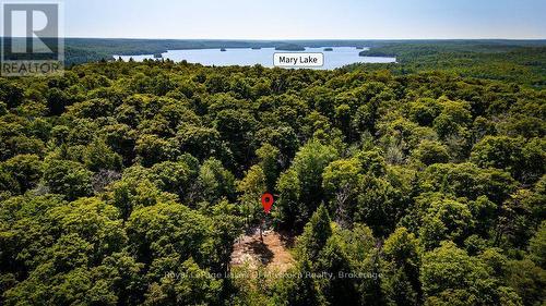 Deeded Access to Mary Lake