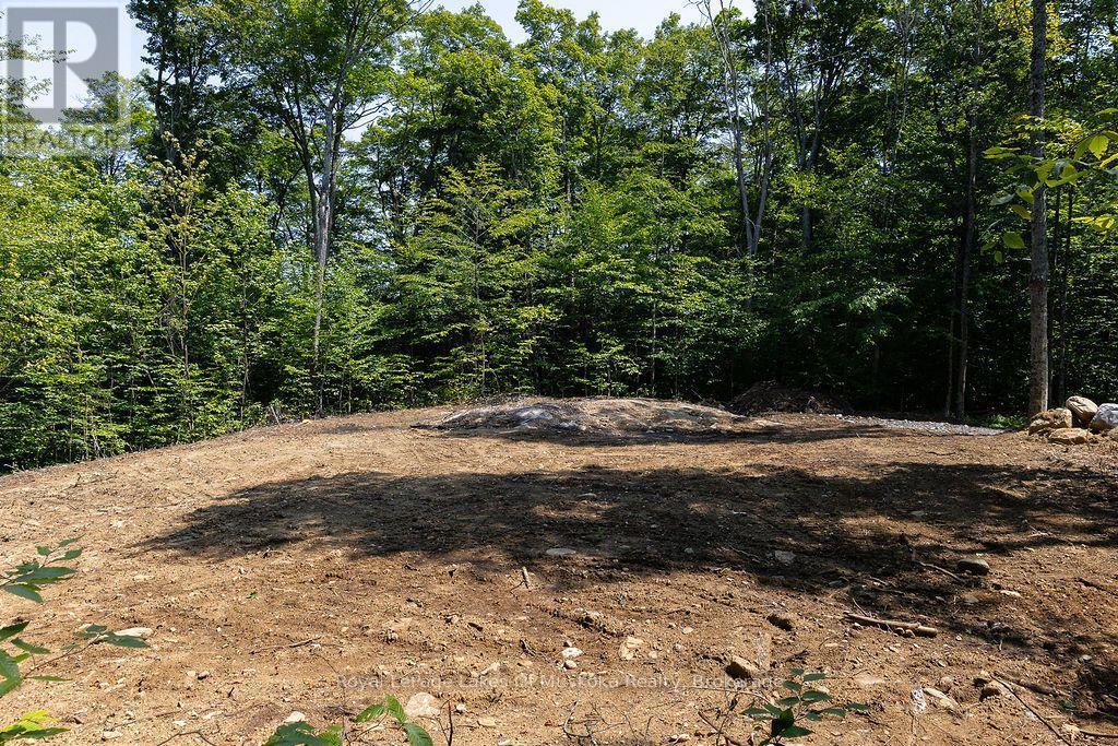












LOT #15 - 101 GRYFFIN BLUFFS LANE

,
Huntsville (Brunel),







Ontario
P0B1M0

