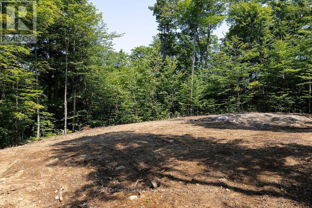 












LOT #15 - 101 GRYFFIN BLUFFS LANE

,
Huntsville (Brunel),







Ontario
P0B1M0

