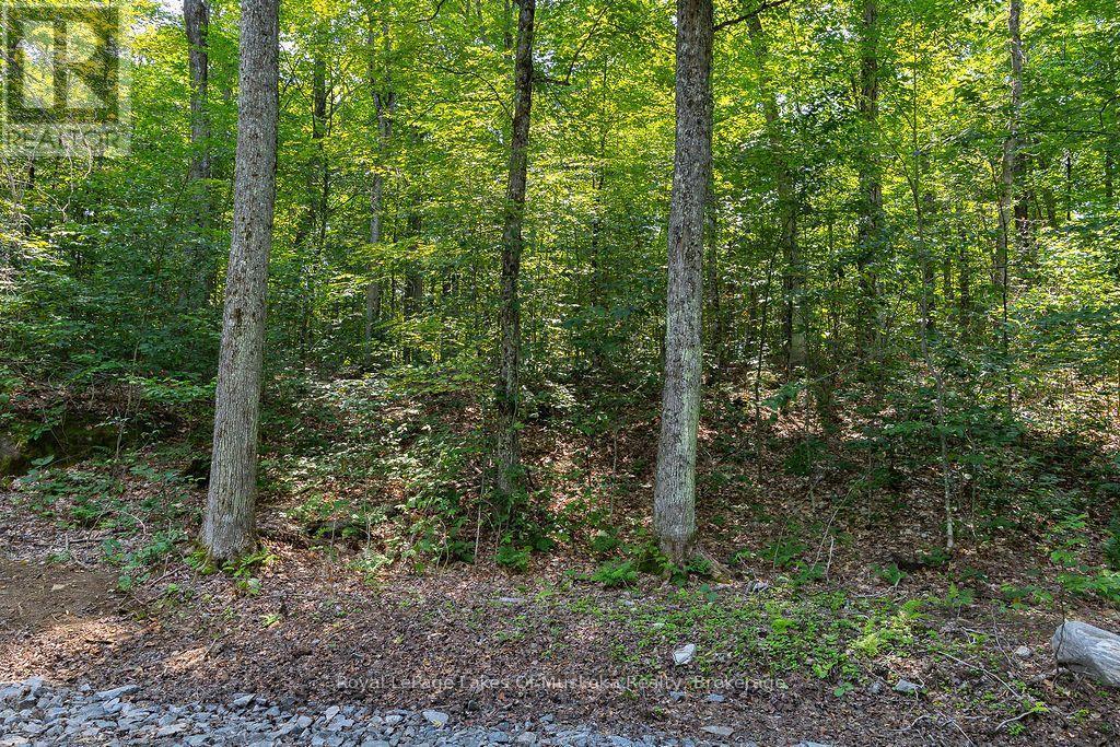 












LOT #15 - 101 GRYFFIN BLUFFS LANE

,
Huntsville (Brunel),







Ontario
P0B1M0

