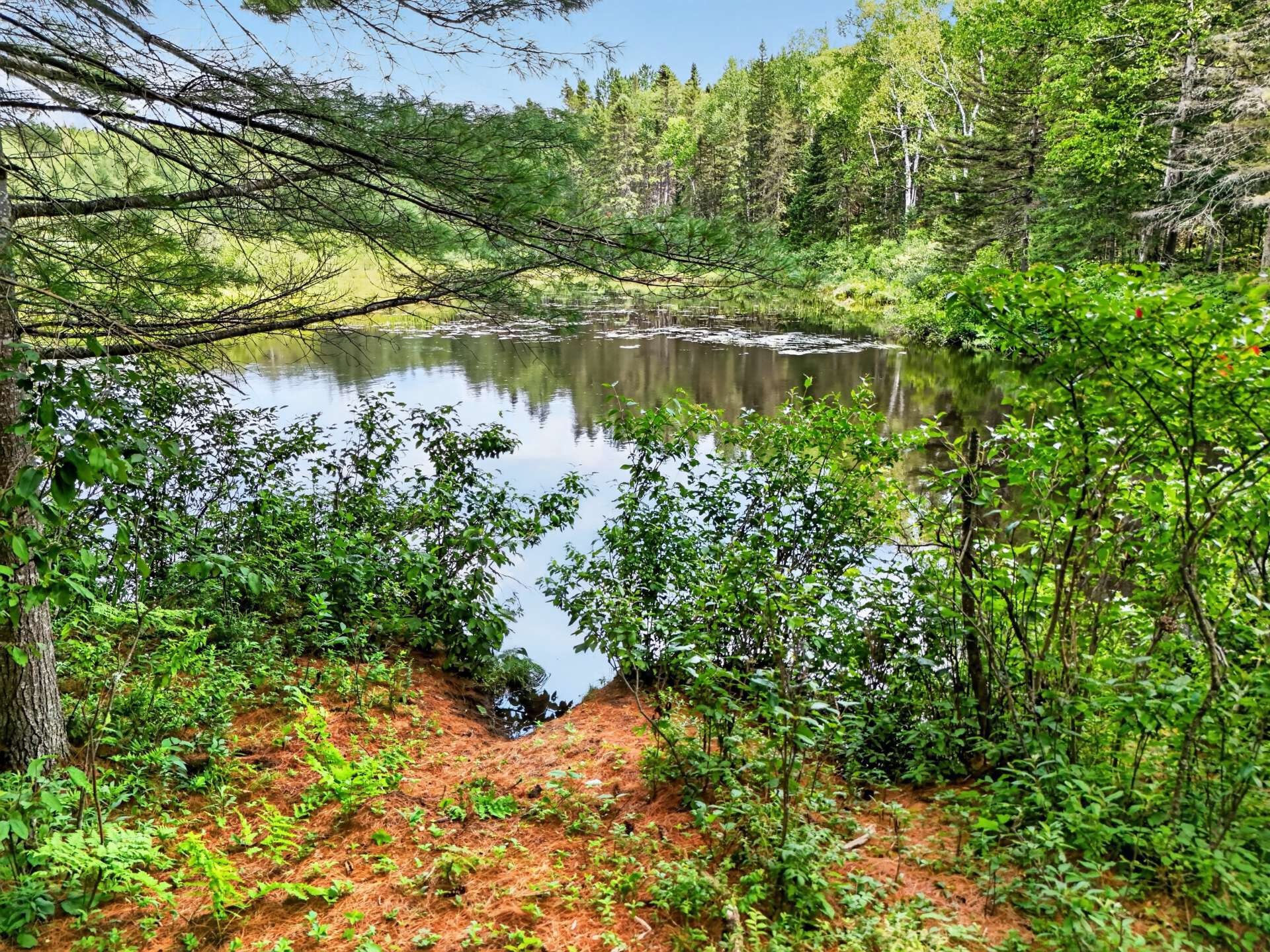 









819


Ch. du Lac-Macaza

,
La Macaza,




QC
J0T1R0

