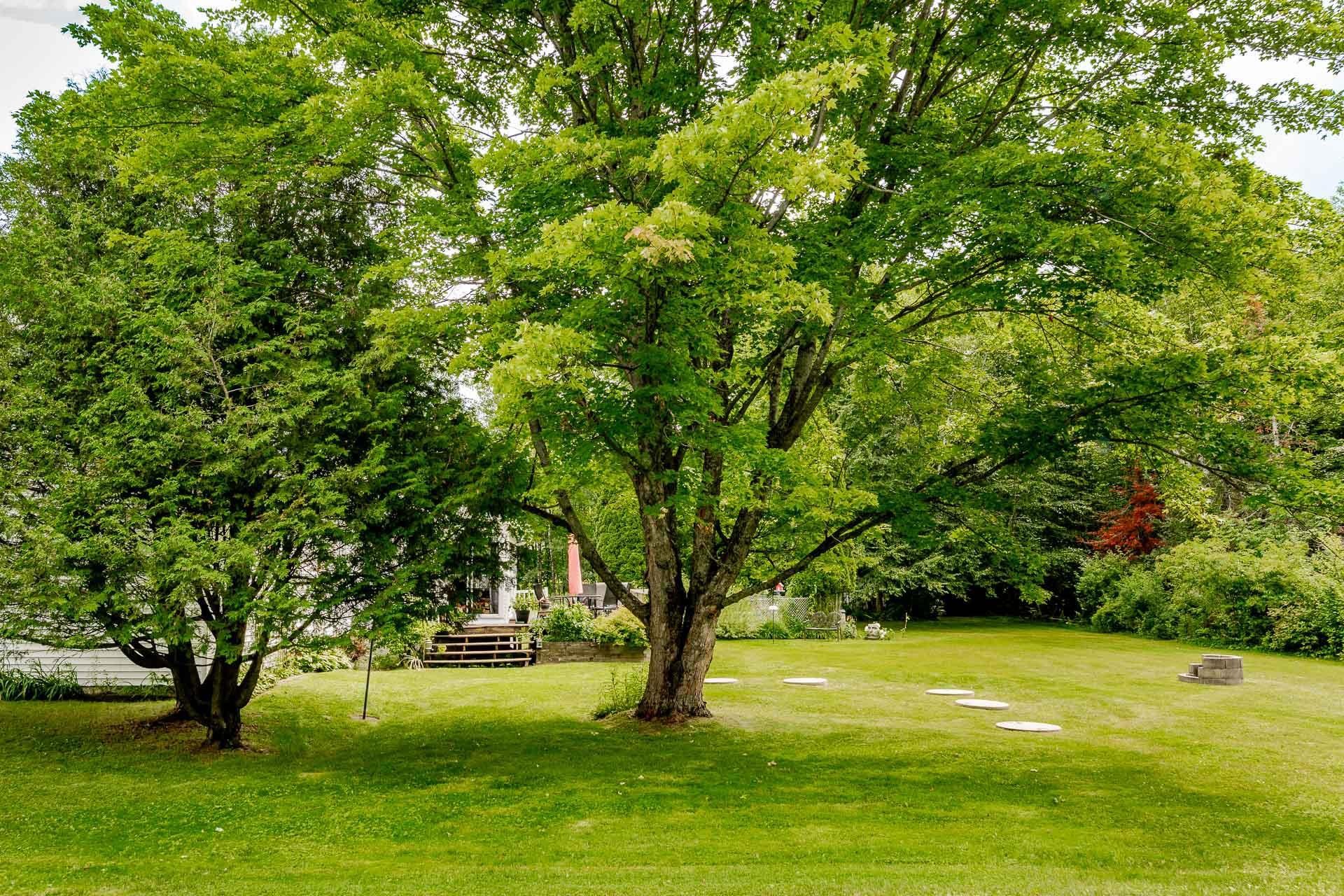 









5148


Ch. Blanchette

,
Sherbrooke (Brompton/Rock Forest/Saint-Élie/Deauville),




QC
J1N0C7

