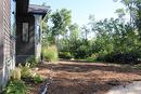 These trees provide privacy and shade. It's like being in a park on this property!