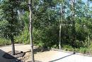 Backyard facing out to the road. So many trees!