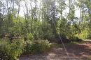 If you are looking for privacy, but still want to feel part of a community, this property is the right fit!