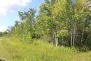 Picture is taken from the corner of Dalvik road. The home is hidden by all the trees.