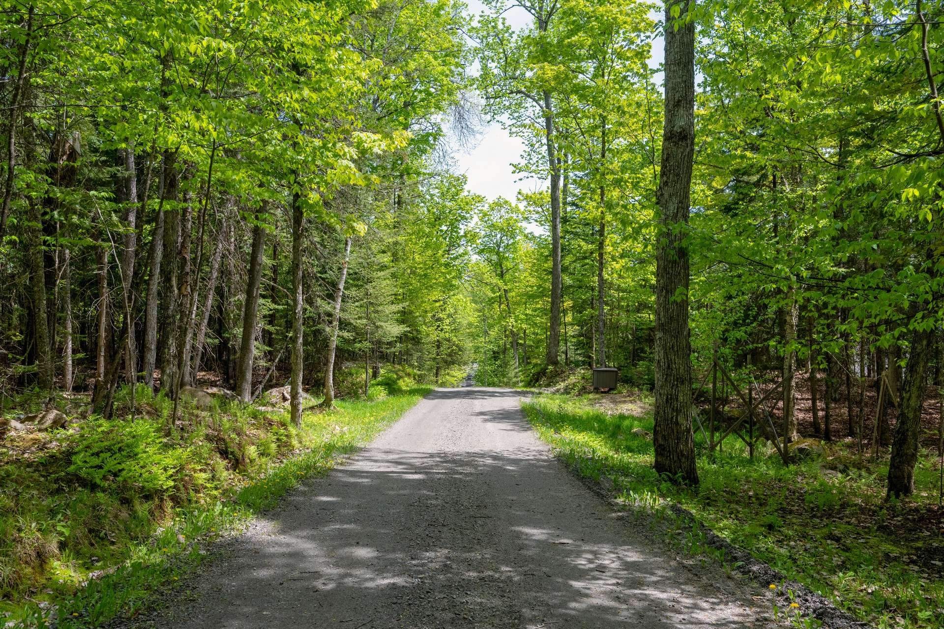 









1816


Ch. du Lac-Boileau O.

,
Rivière-Rouge,




QC
J0T1T0

