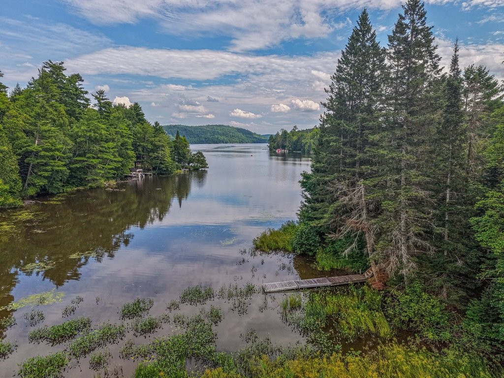 









44


Ch. Davidson

,
Chelsea,




QC
J9B2H1

