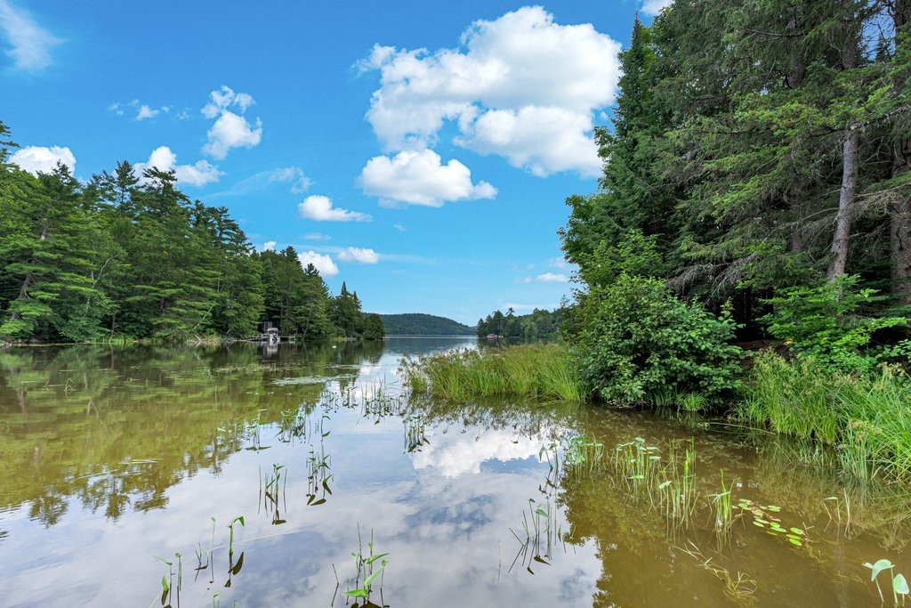 









44


Ch. Davidson

,
Chelsea,




QC
J9B2H1


