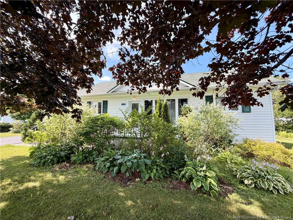 









235


Ave des Pionniers

,
Balmoral,




NB
E8E 1B1


