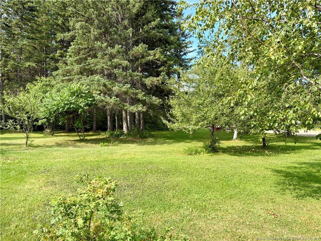 









235


Ave des Pionniers

,
Balmoral,




NB
E8E 1B1

