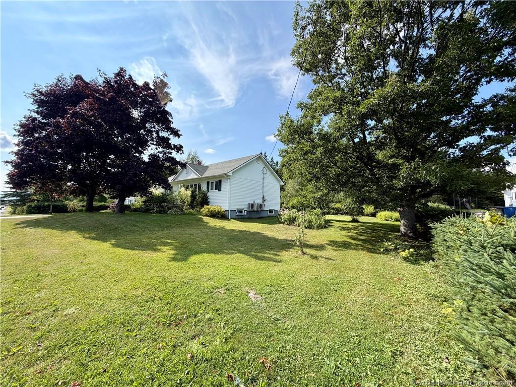 









235


Ave des Pionniers

,
Balmoral,




NB
E8E 1B1

