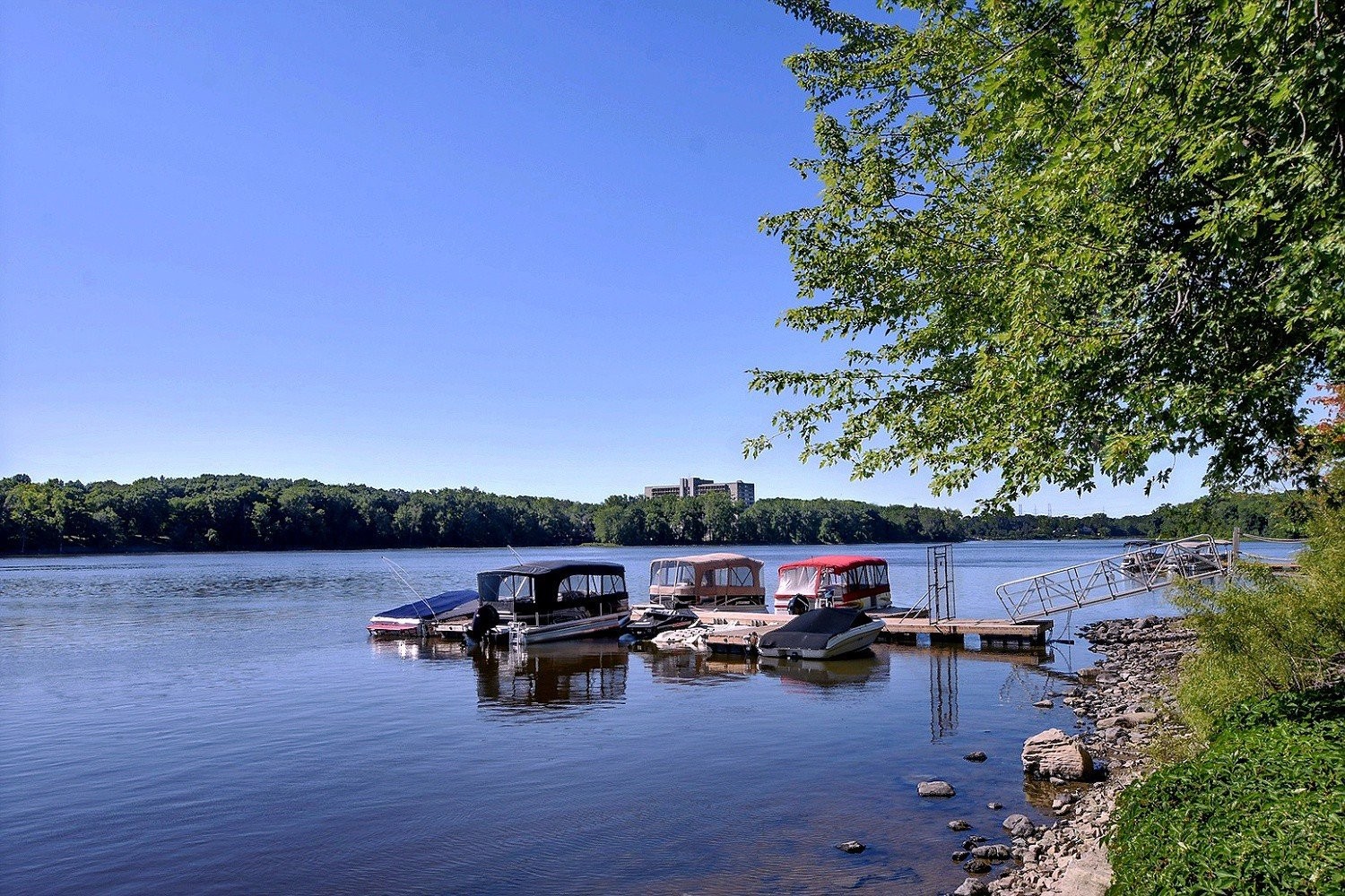 









4450


Prom. Paton

, 1215,
Laval (Chomedey),




QC
H7W5J7

