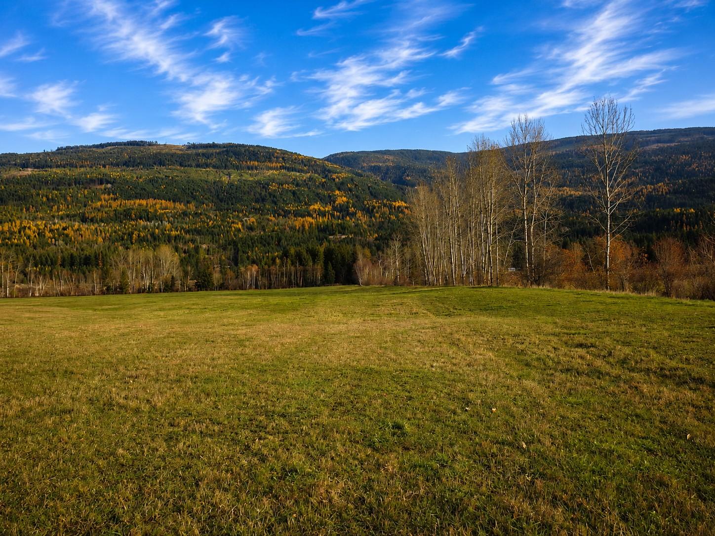 









110


Parsons

Road,
Mara,







BC
V0E 2K0

