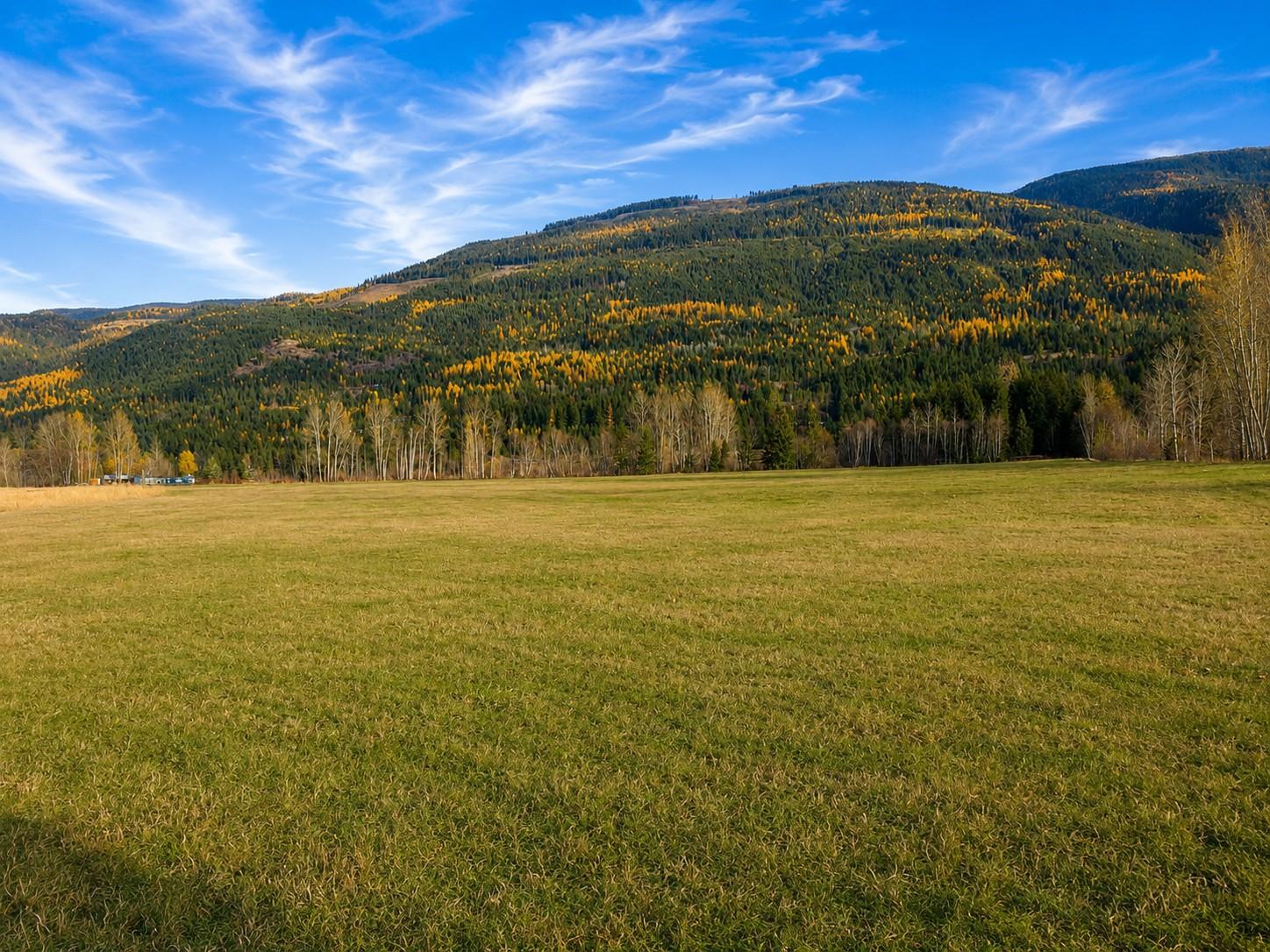 









110


Parsons

Road,
Mara,







BC
V0E 2K0

