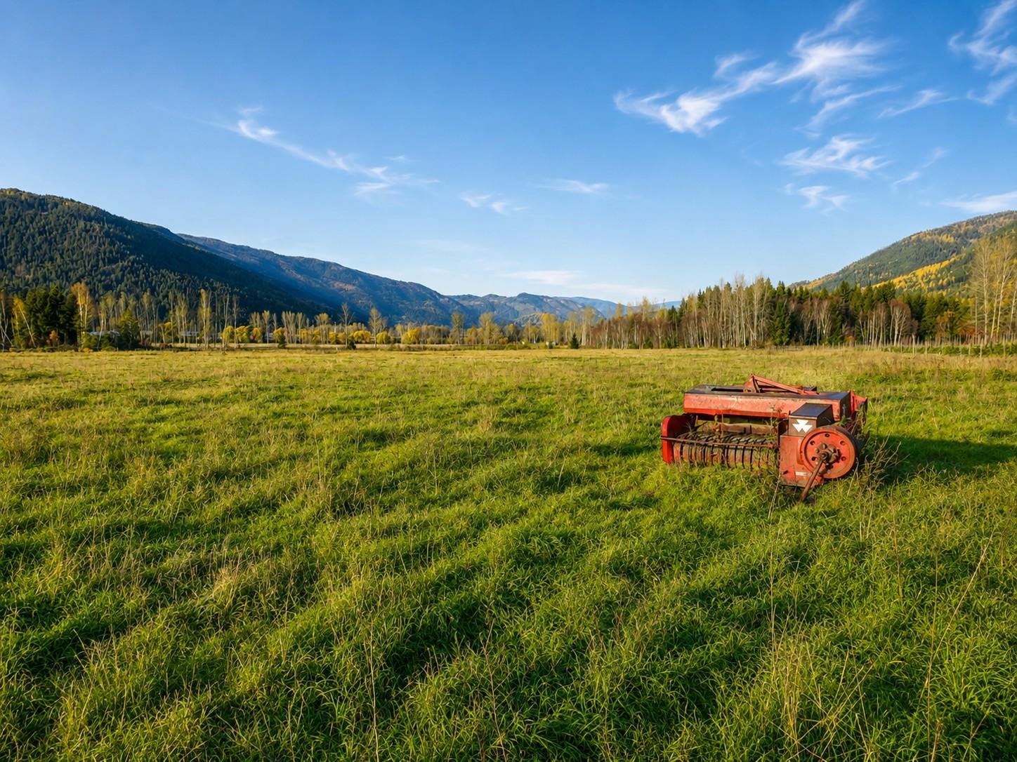 









110


Parsons

Road,
Mara,







BC
V0E 2K0

