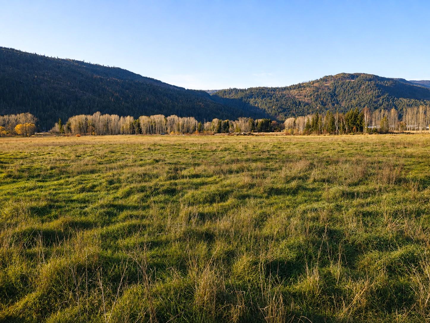 









110


Parsons

Road,
Mara,







BC
V0E 2K0

