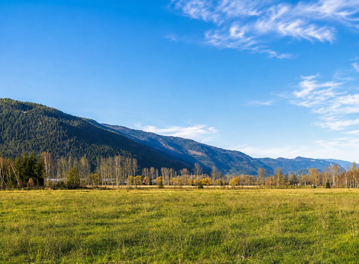 









110


Parsons

Road,
Mara,







BC
V0E 2K0

