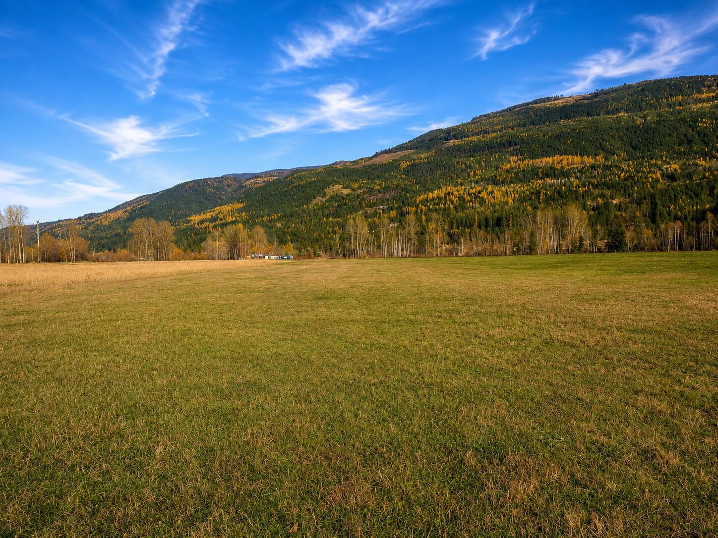 









110


Parsons

Road,
Mara,







BC
V0E 2K0

