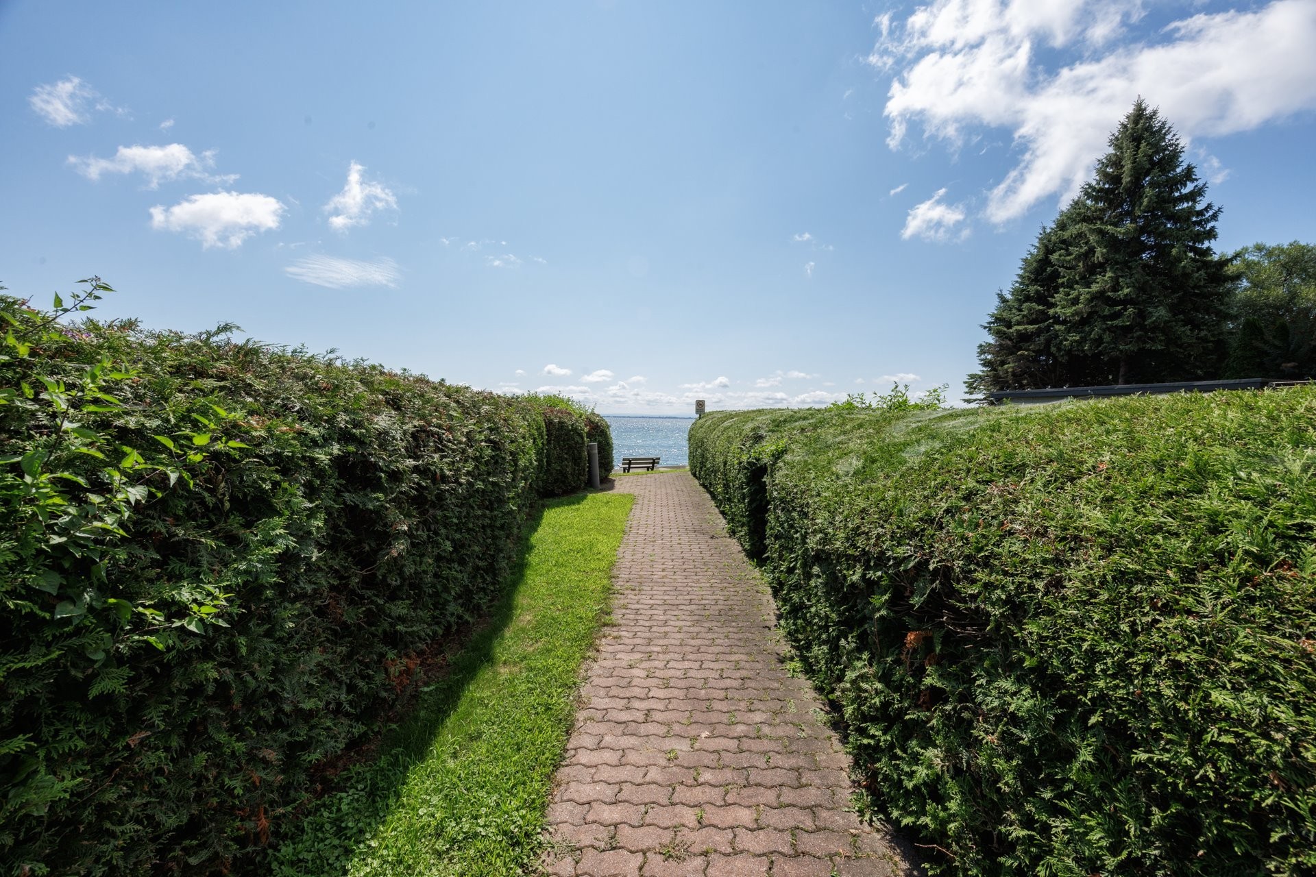 









110


38e Avenue S.

,
Saint-Zotique,




QC
J0P1Z0


