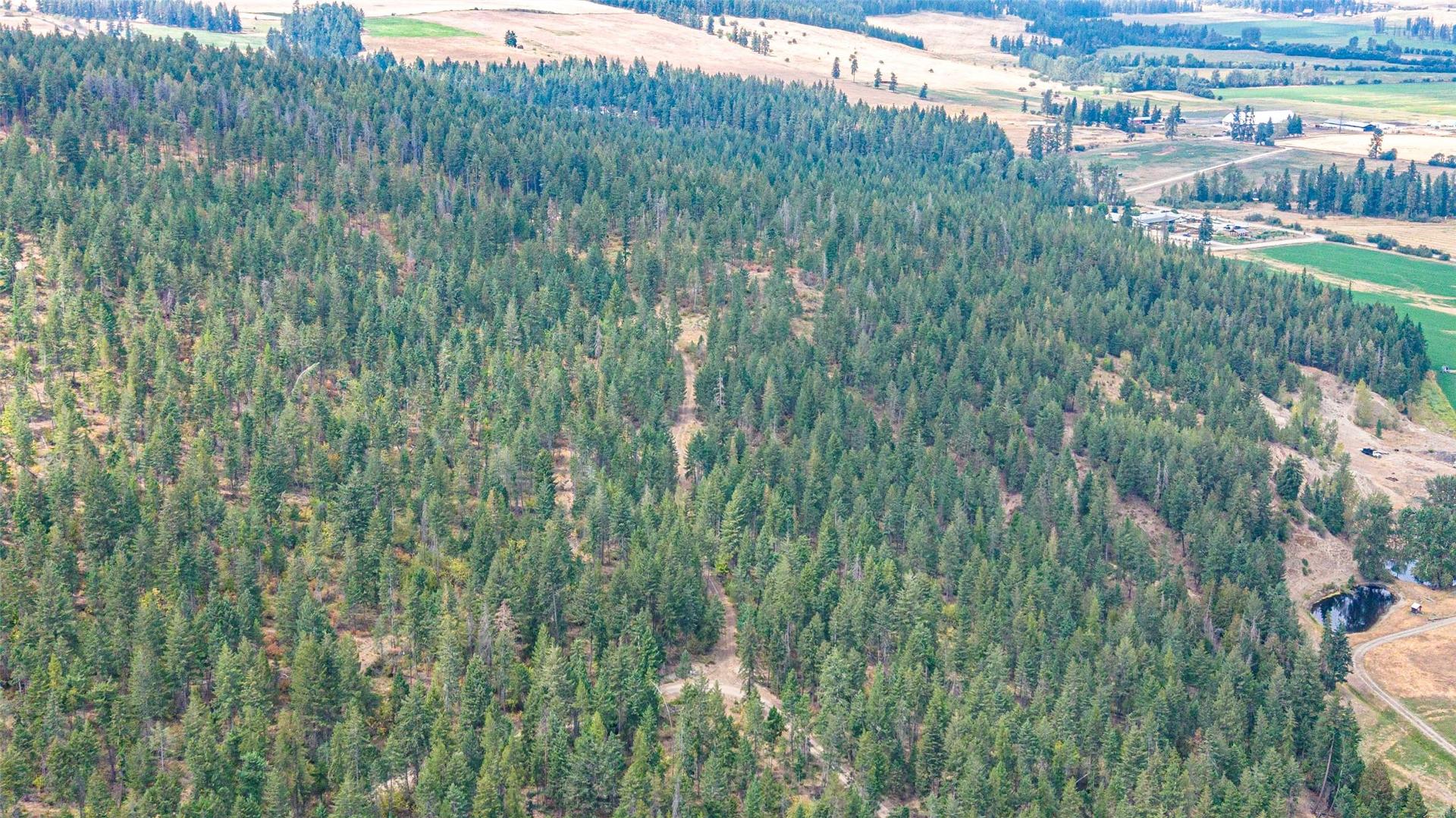 









Lot A


Dure Meadow S.

Road,
Lumby,







BC
V0E 2G7

