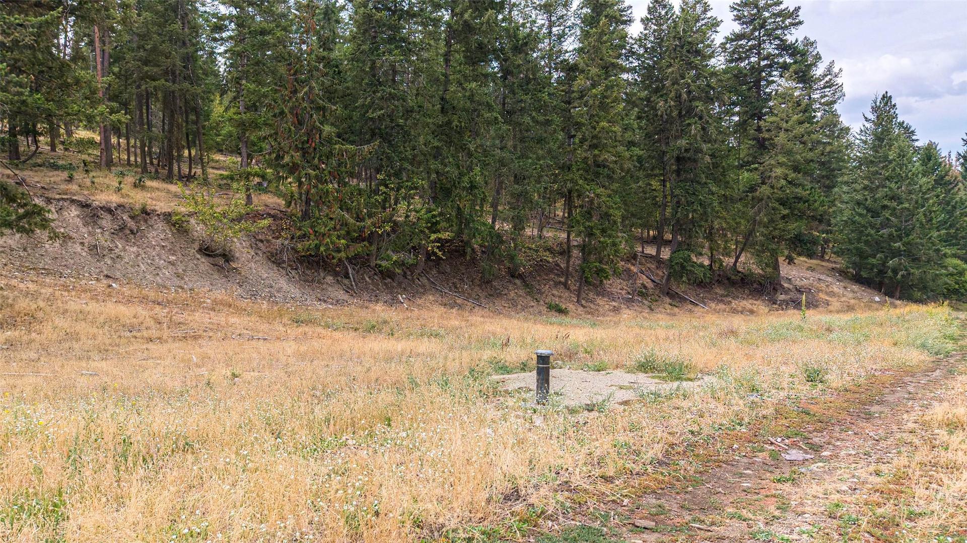 









Lot A


Dure Meadow S.

Road,
Lumby,







BC
V0E 2G7

