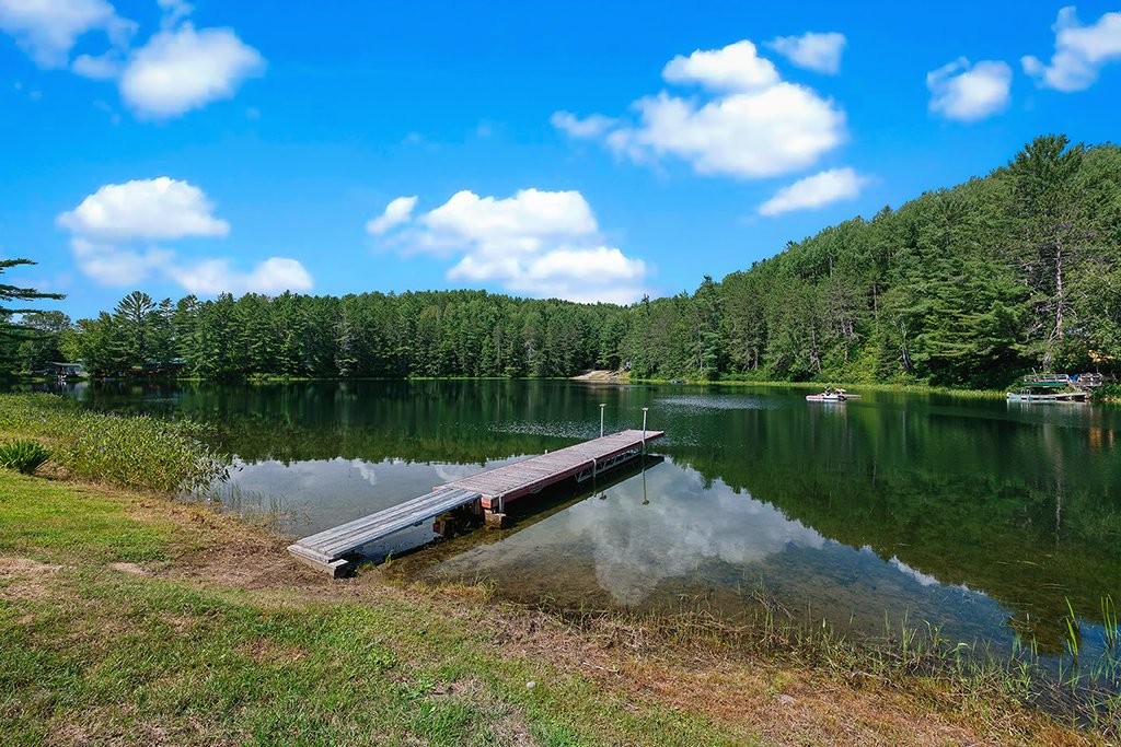 









41


Ch. MacCreadie

,
Otter Lake,




QC
J0X2P0

