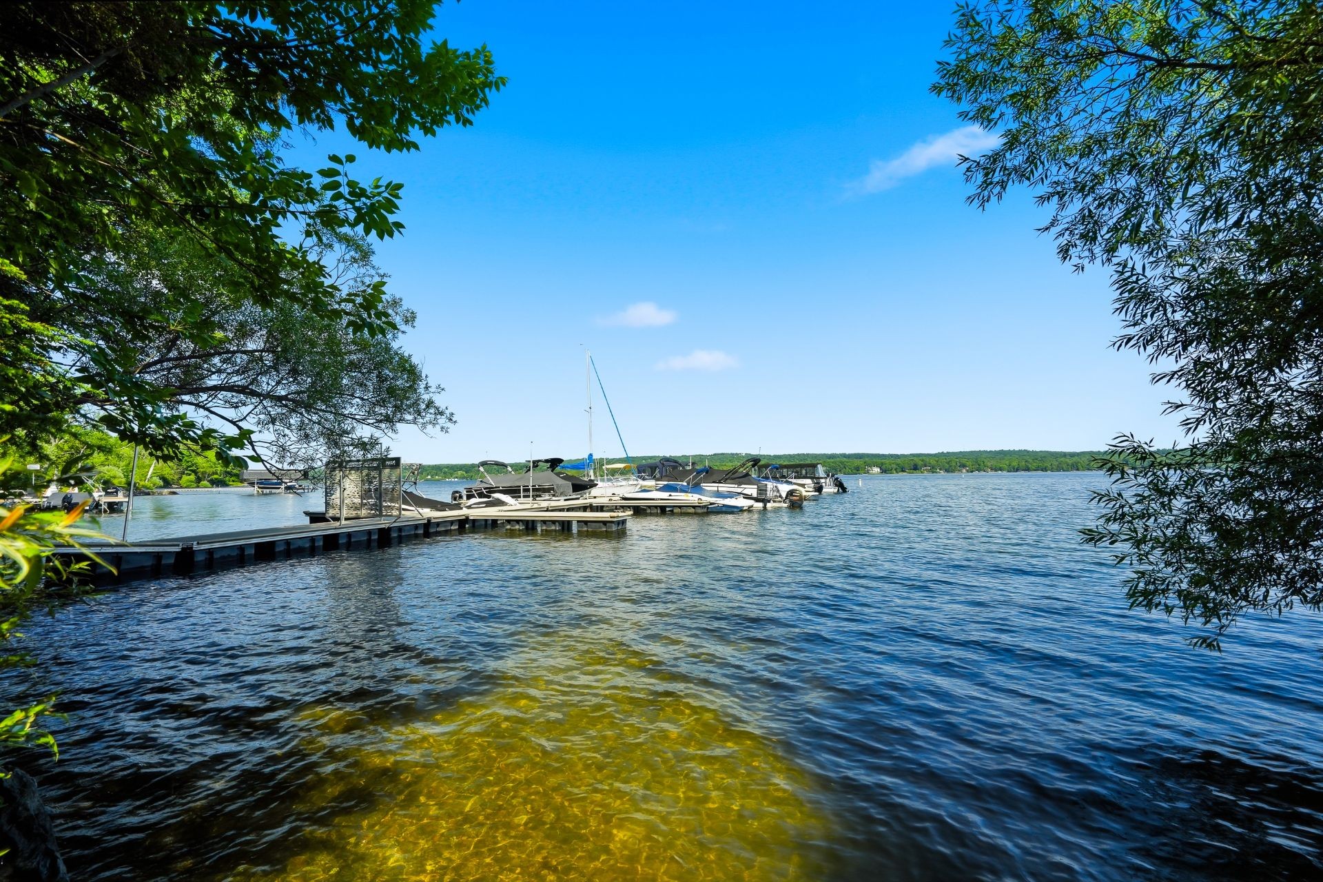 









4066


Ch. Montpetit

,
Austin,




QC
J1X5R9

