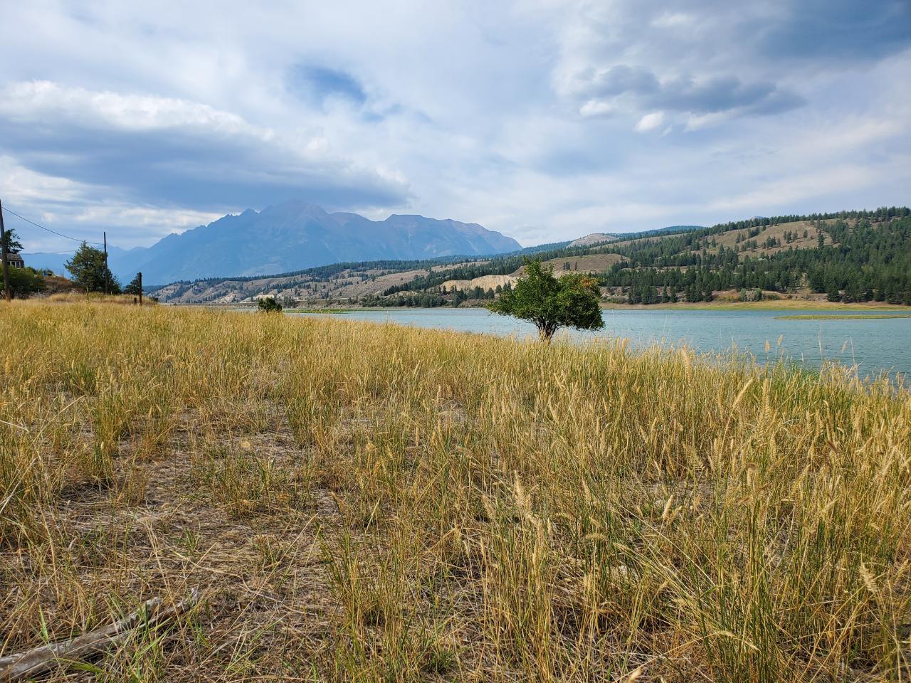 









Lot 37


LAURIER

Avenue,
Wardner,







BC
V0B 2J0

