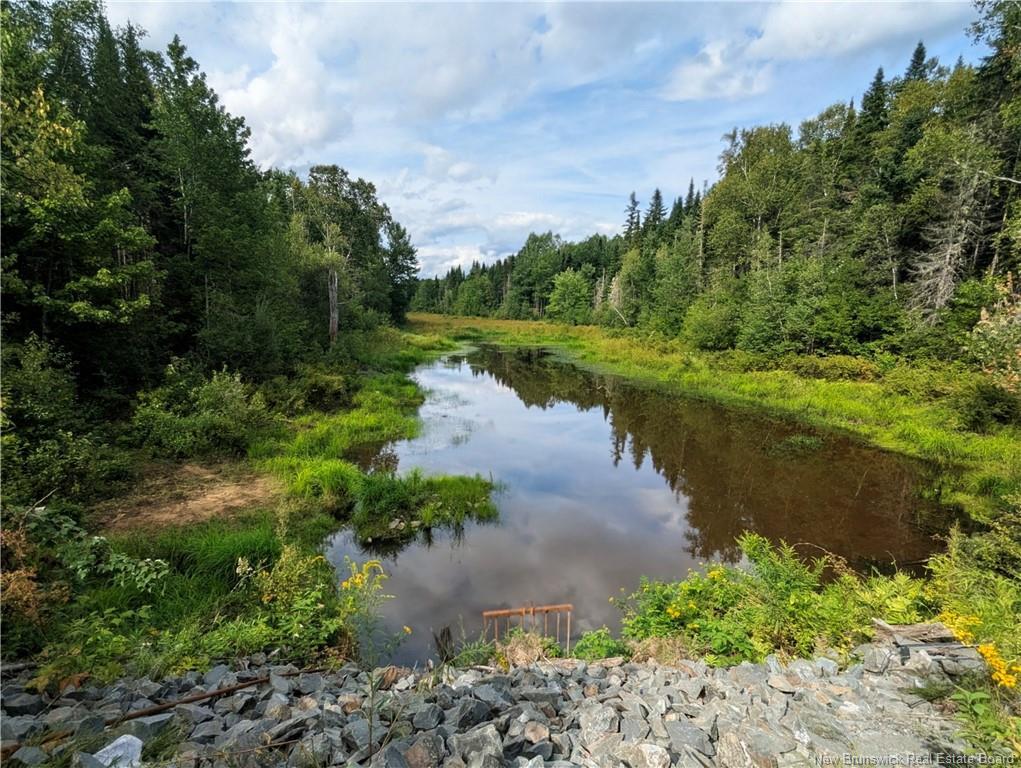 









47 Acres


North Barnaby

RD,
Barnaby,







NB
E1N 6G4

