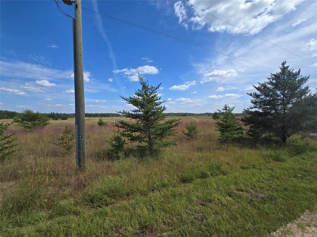 












0 Barthelette Road

,
Marchand,







Manitoba
R0A0X0

