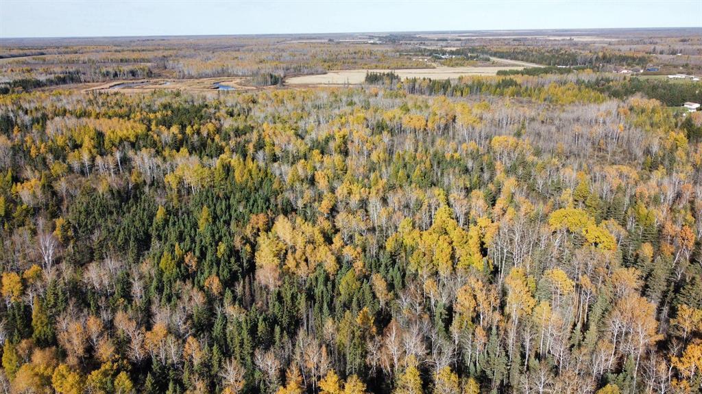 












0 PTH 11 Highway

,
Hadashville,







Manitoba
R0E0X0

