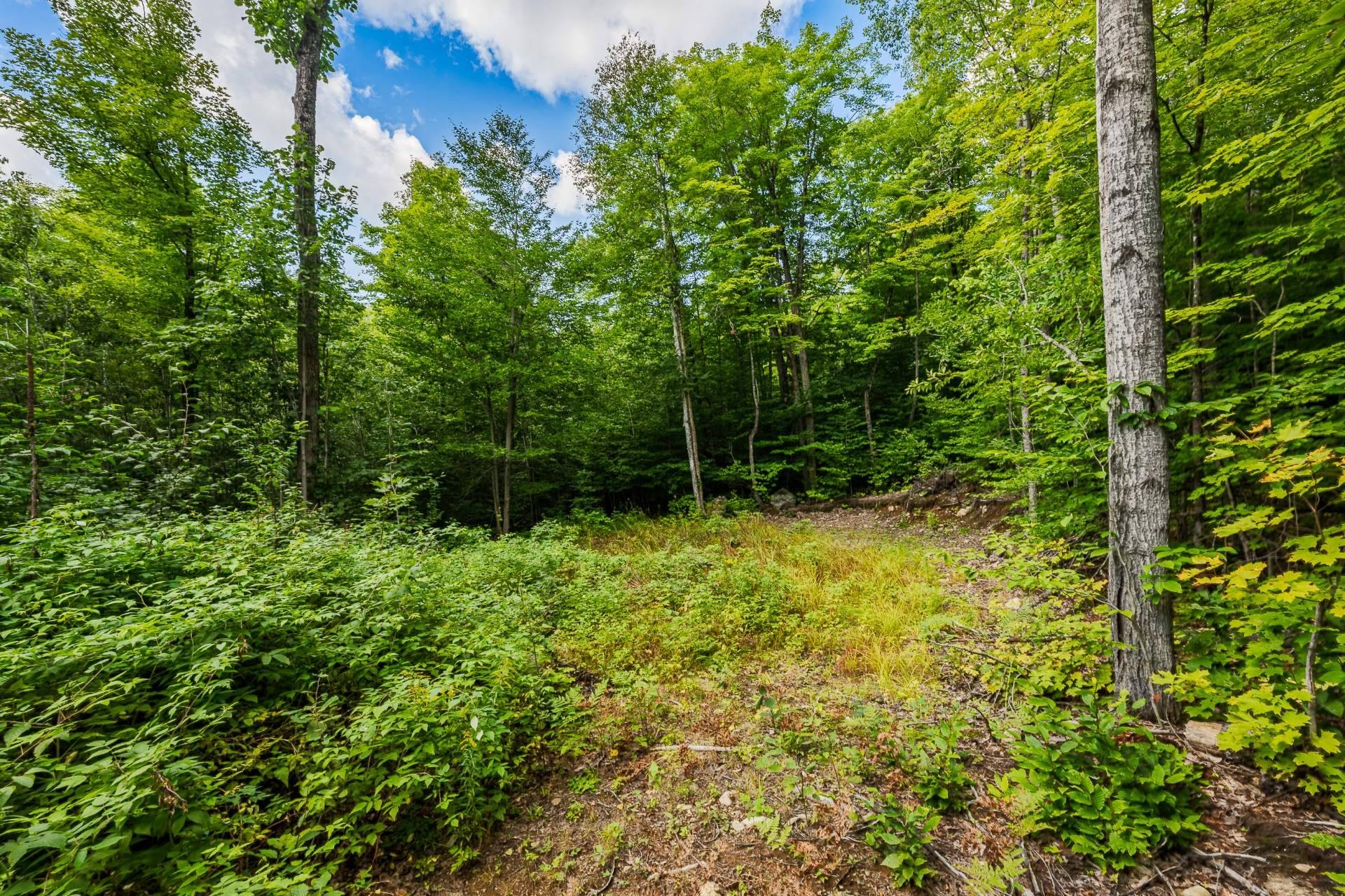 












Ch. du Lac-Thomas

,
Saint-Didace,







QC
J0K2G0

