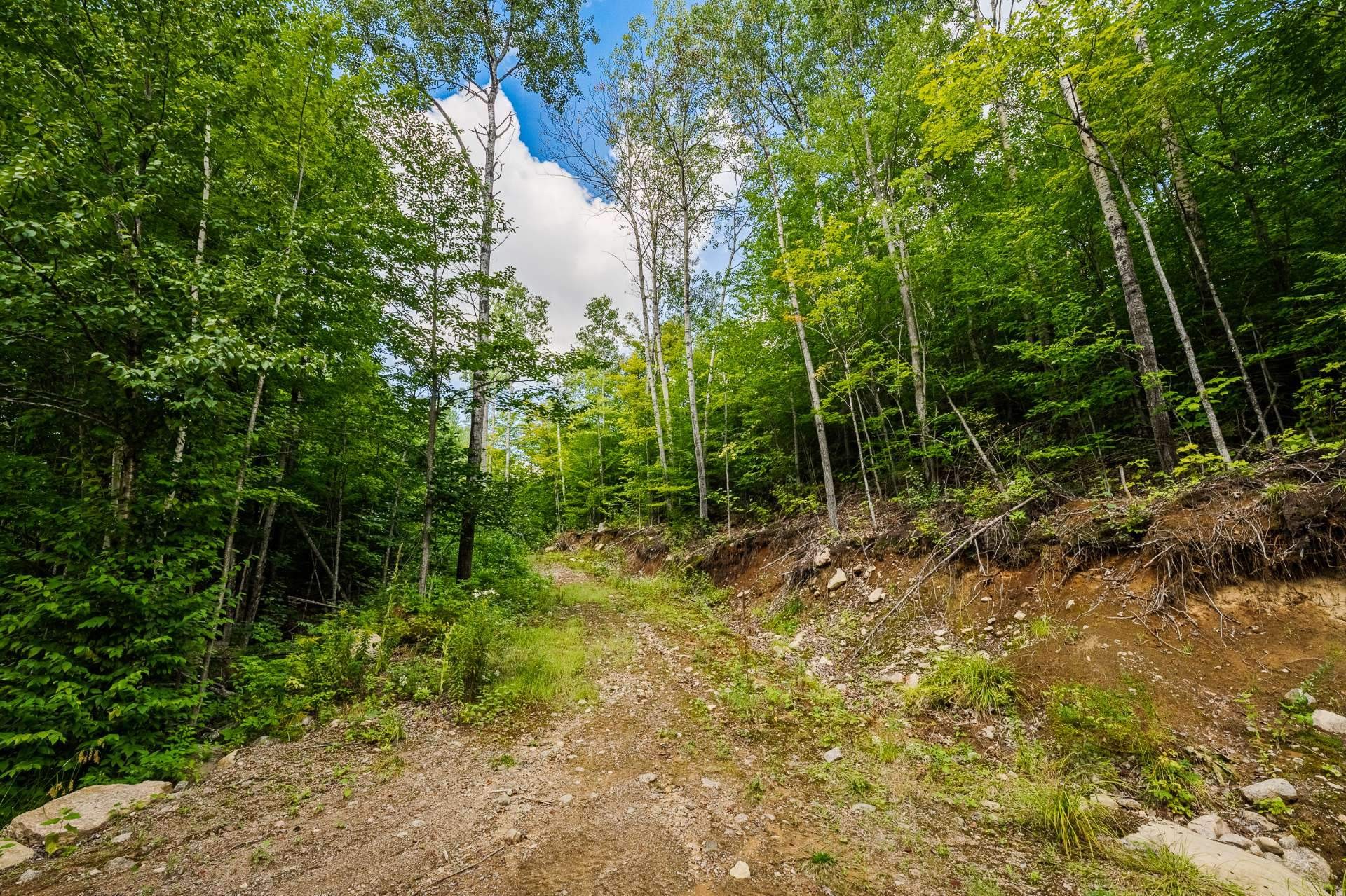 












Ch. du Lac-Thomas

,
Saint-Didace,







QC
J0K2G0

