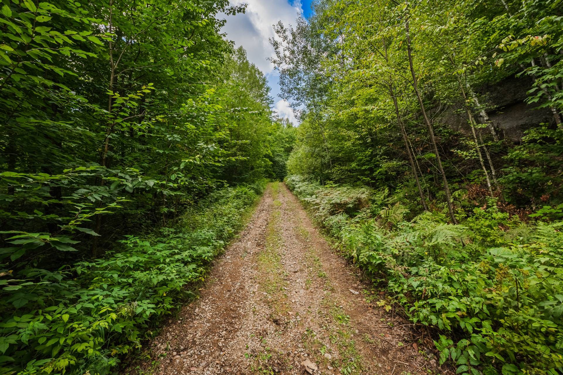 












Ch. du Lac-Thomas

,
Saint-Didace,







QC
J0K2G0

