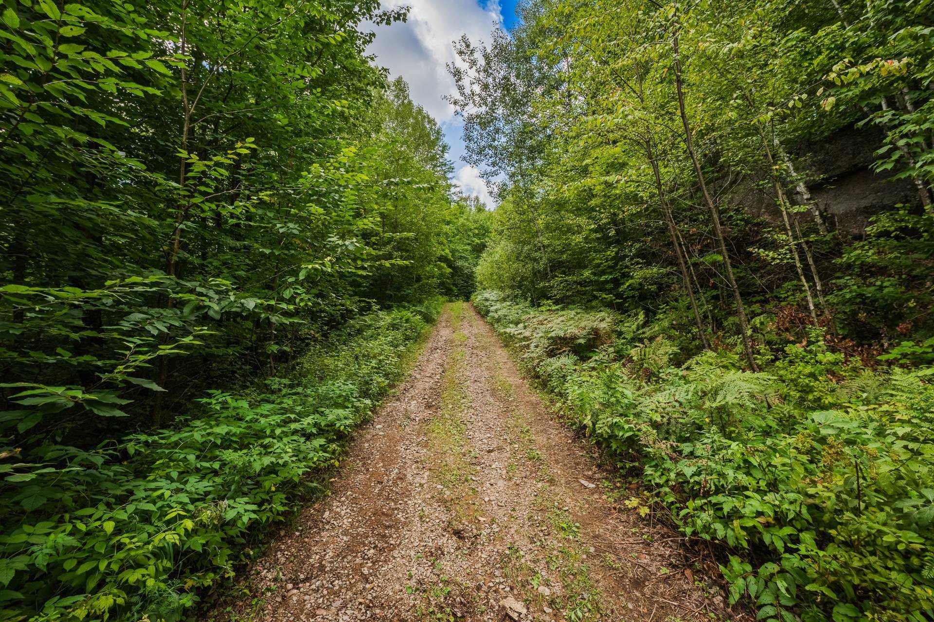












Ch. du Lac-Thomas

,
Saint-Didace,







QC
J0K2G0

