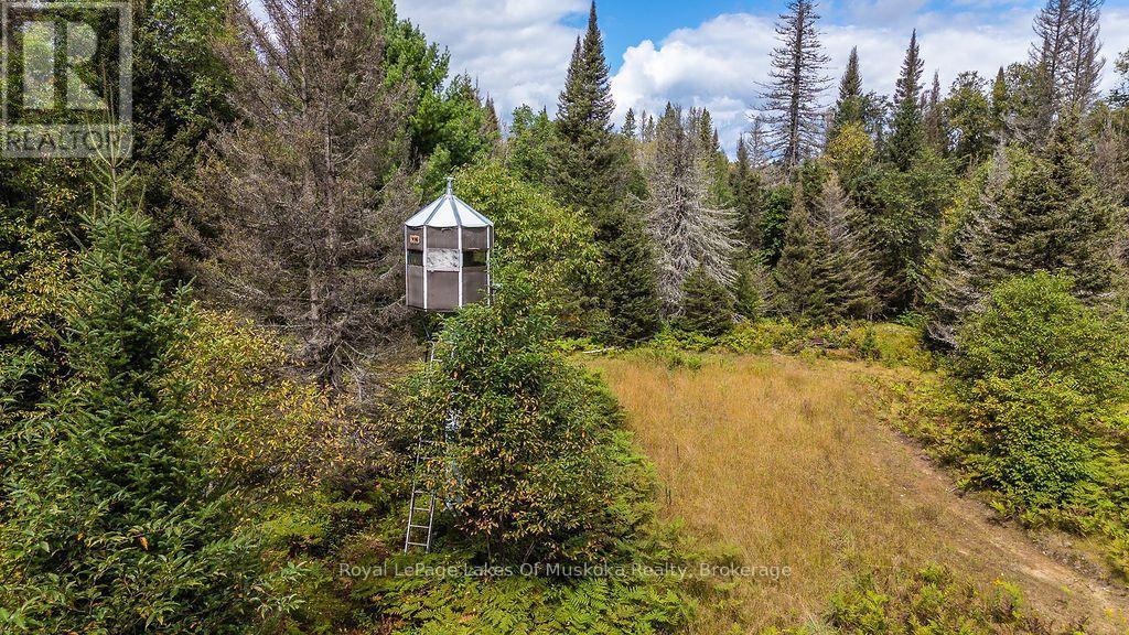 












0 KENT ROAD

,
Armour,







Ontario
P0A1Z0

