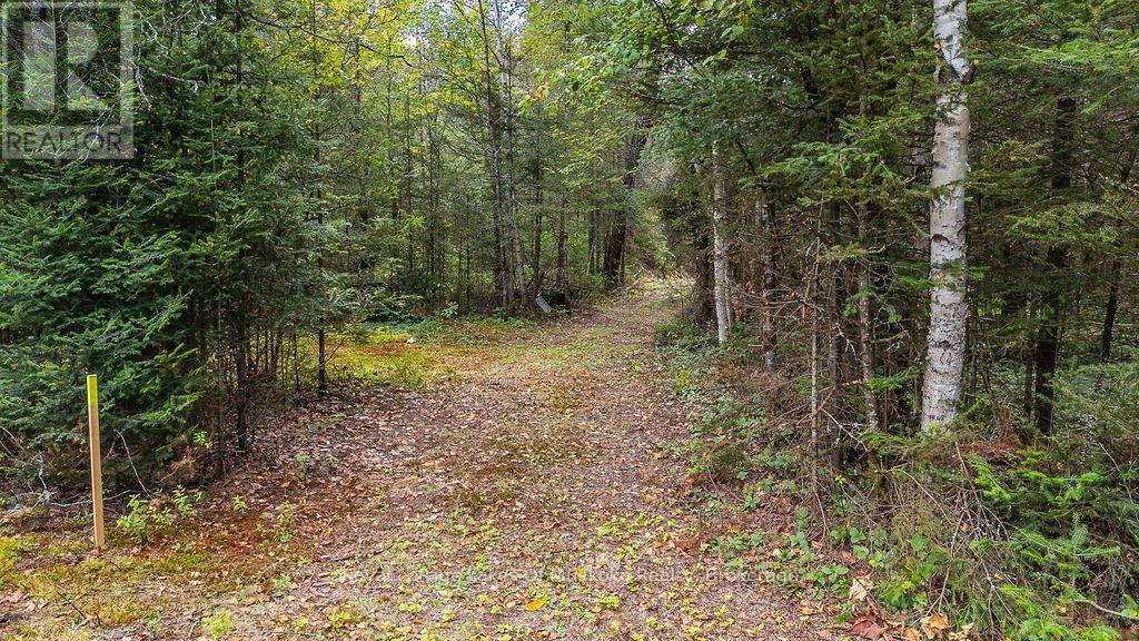 












0 KENT ROAD

,
Armour,







Ontario
P0A1Z0

