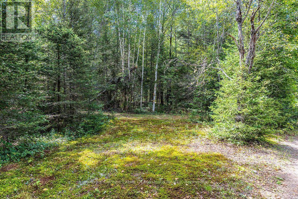 












0 KENT ROAD

,
Armour,







Ontario
P0A1Z0


