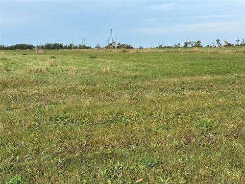 1 acre lot - 147x295 ft