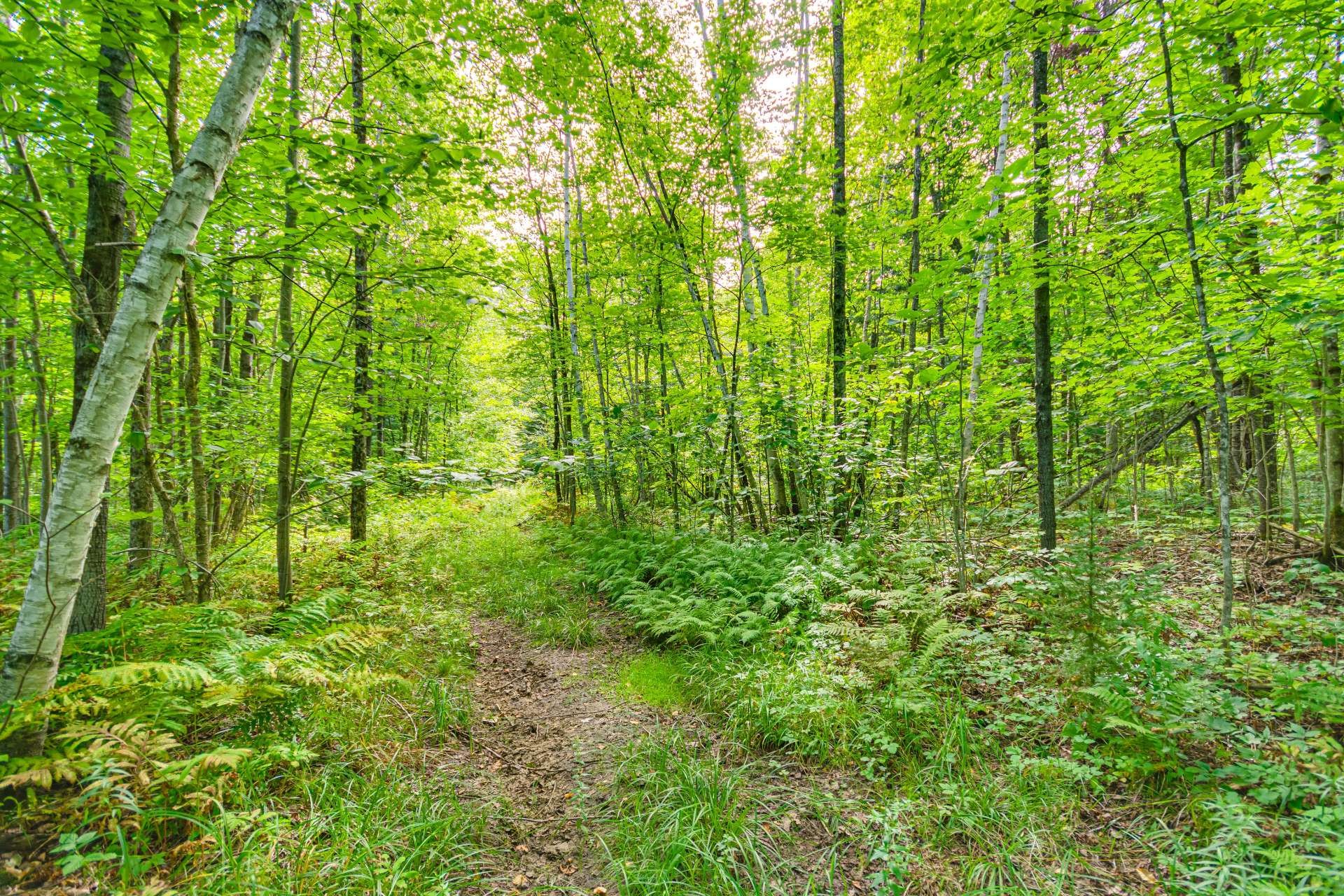 









99


Ch. du Huard

,
Val-des-Bois,




QC
J0X3C0

