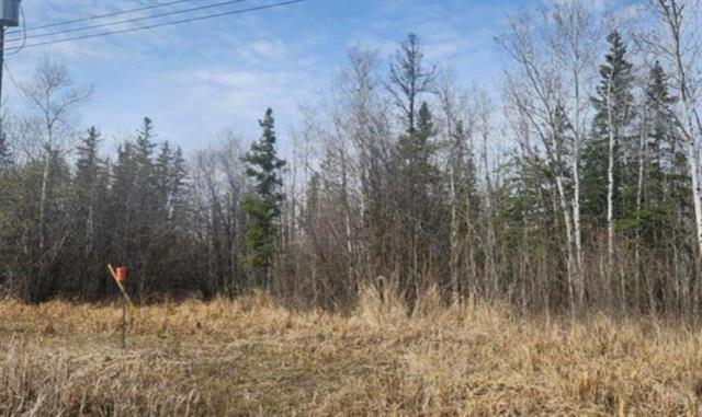 









28


WHITETAIL

CR,
Gimli Rm,







MB
R0C 0C0

