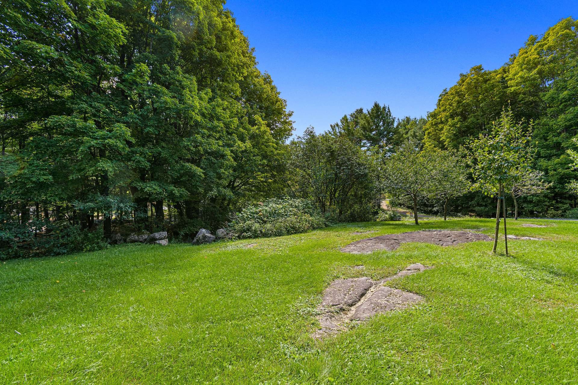 









13


Rue Charles-Rodrigue

,
Gore,




QC
J0V1K0

