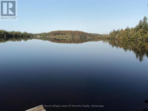 Dotty Lk looking West