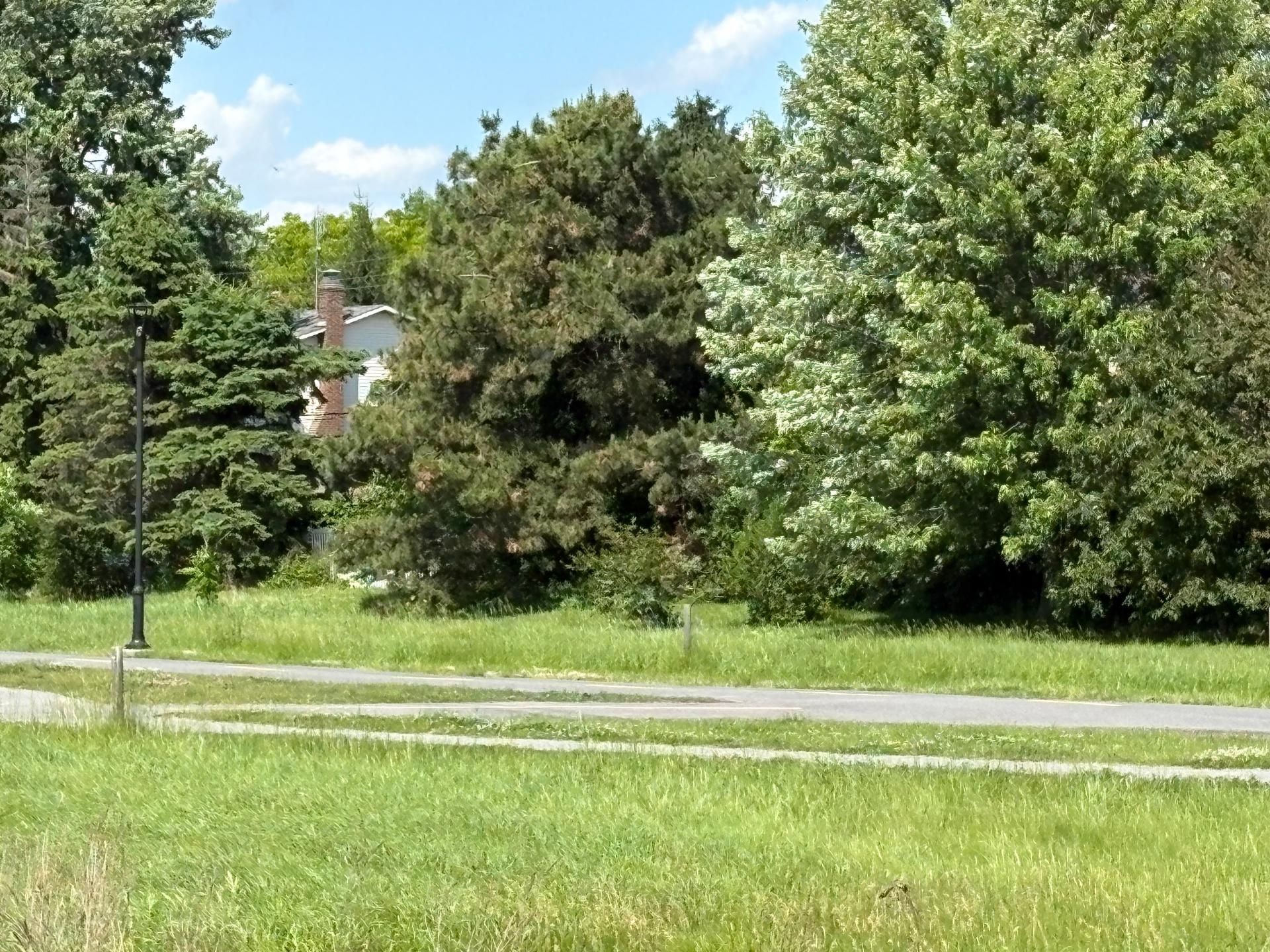 









1015


Crois. Savard

,
Brossard,




QC
J4X1X9

