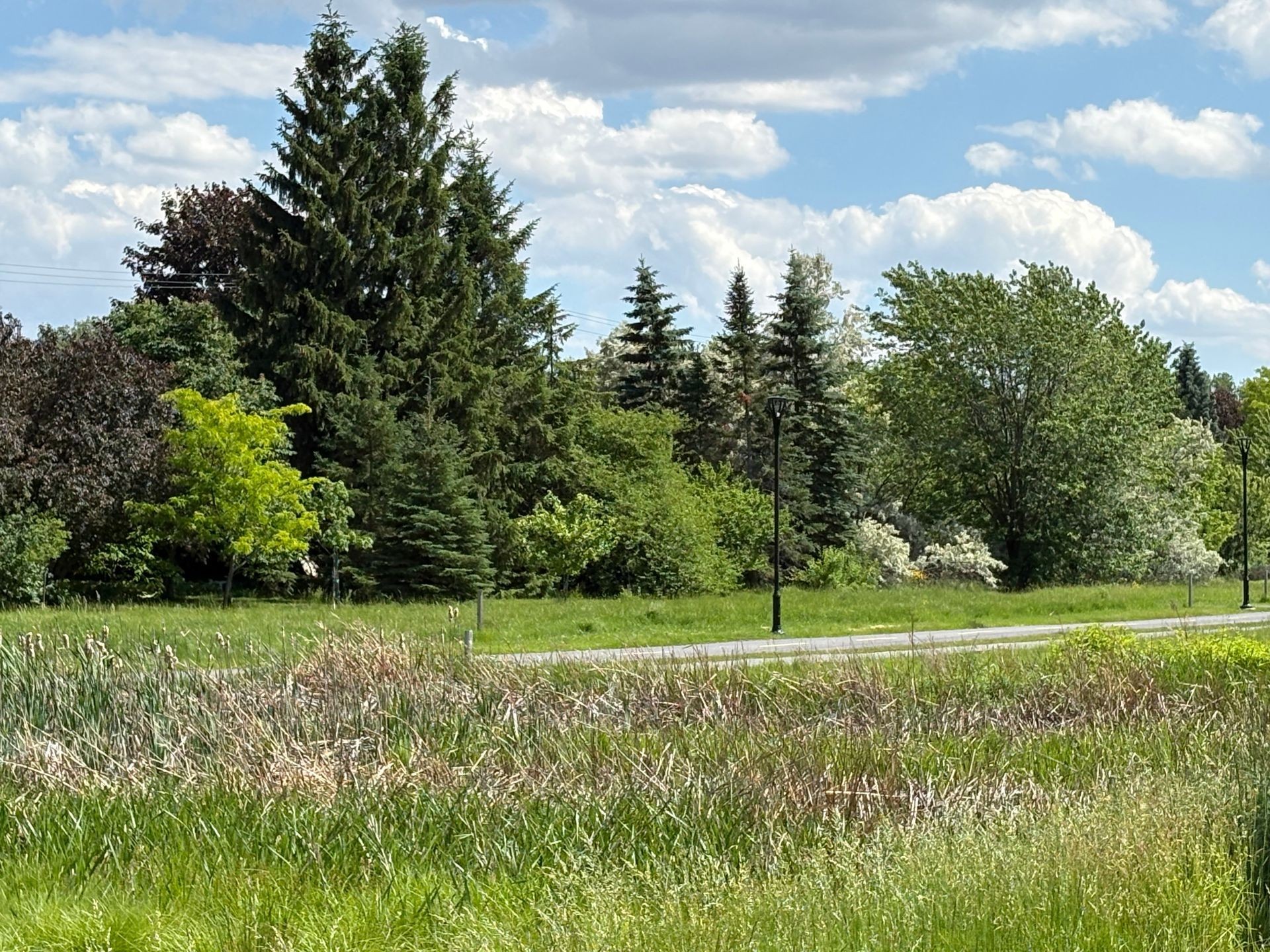 









1015


Crois. Savard

,
Brossard,




QC
J4X1X9

